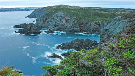 Rocky Coastline Long Point Lighthouse Crow Head Newfoundland