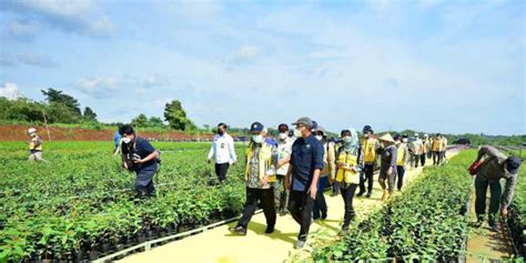 Kementerian Pupr Bangun Prasarana Air Baku Dukung Persemaian Modern