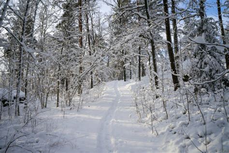 90+ Narnia Winter Stock Photos, Pictures & Royalty-Free Images - iStock