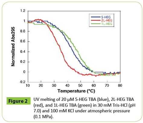 Pressure Effect On The Folding Of G Quadruplex DNA Modified With