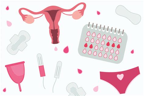 Sabe tudo de menstruação Os 15 mitos e verdades mais comuns sobre o