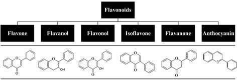 Cutaneous Flavonoid Delivery System Encyclopedia Mdpi