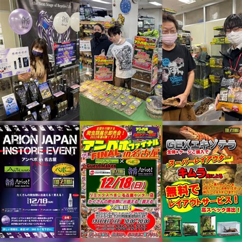 本日アンペポファイナル！ 名古屋のペットショップ【リミックス・ペポニ】