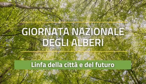 Giornata Nazionale Degli Alberi Pichetto Con PNRR 6 6 Milioni Di