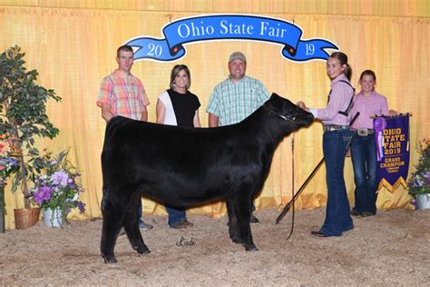 2019 Ohio State Fair – Limousin365