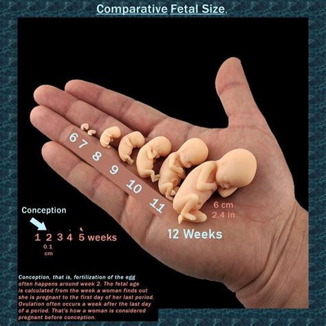 Pin On Mom Ideas