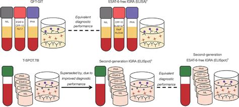 Pdf Progress In Interferon Gamma Release Assay Development And