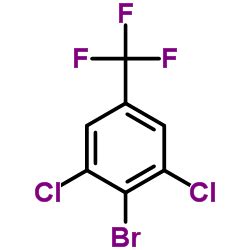 CAS 118754 53 3 2 Bromo 1 3 Dichloro 5 Trifluoromethyl Benzene