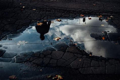 Reflexão De Uma Pessoa Em Uma Poça De água No Asfalto Imagem de Stock