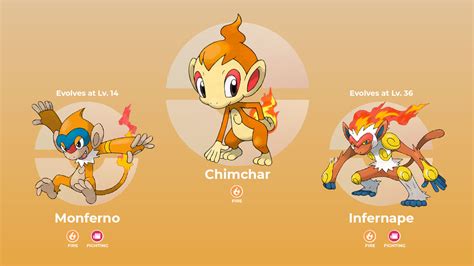 Chimchar Evolution Chart Levels