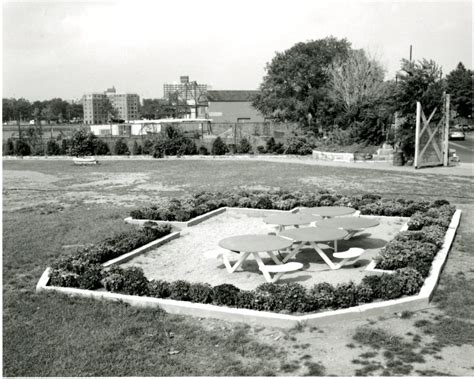 Peter Gould Socrates Sculpture Park