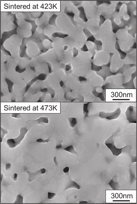 Initial Microstructure Of Sintered Ag Nanoparticles Sintered At 423 K