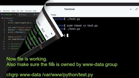 Execute Python File Using Php [2022] Youtube