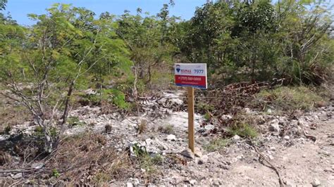 Secret Beach Belize Palm Garden Lots Youtube