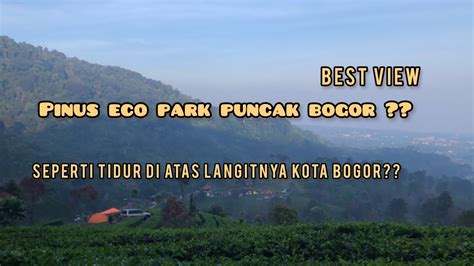 Camping Keluarga Di Pinus Ecopark Puncak Bogor Youtube