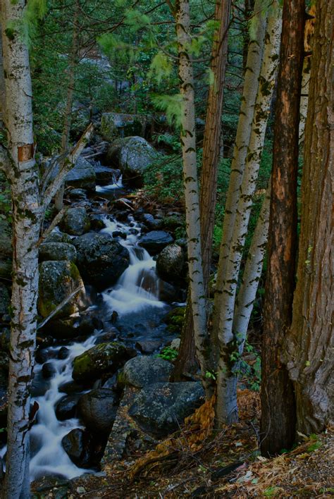 √ Nature Parks Near Me With Water