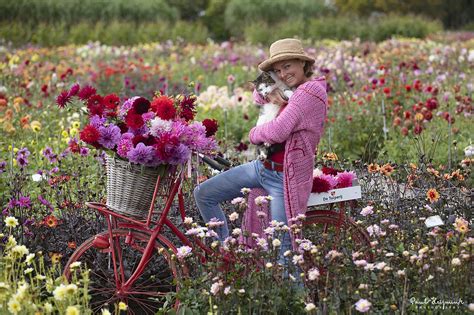 Dahlia Festival 2024 | Discover the summer flowers of the Netherlands ...