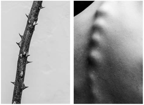 Juxtaposition In Photography 5 Examples And 3 Tips Wedio