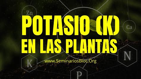 Descubre los increíbles beneficios del potasio en las plantas todo lo