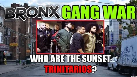 Bronx Gang War Who Are The Sunset Trinitarios YouTube