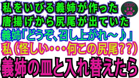 【スカッとする話】私を見下す義姉がある日唐揚げを作り「どうぞ♪」私（唐揚げから出てるこの尻尾、怪しい！）⇒こっそり義姉の皿と取り替えた結果w【修羅場】 Youtube