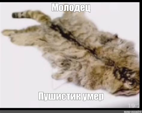 Мем: "Молодец Пушистик умер" - Все шаблоны - Meme-arsenal.com