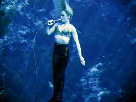 Как Выглядит Морская Сирена Фото – Telegraph