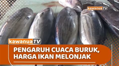 Pengaruh Cuaca Buruk Harga Ikan Di Talaud Melonjak Tinggi Youtube