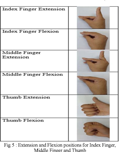 Figure 5 From Classification Of Extension And Flexion Positions Of