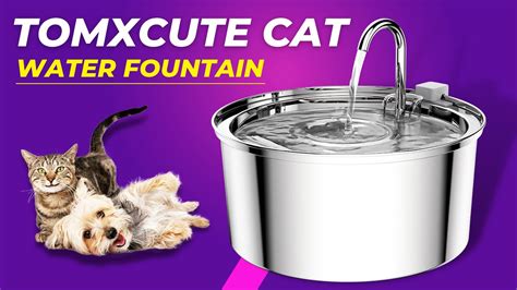 Tomxcute Cat Water Fountain YouTube