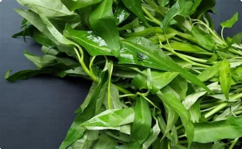 Sayur Kangkung Ternyata Memiliki Manfaat Kesehatan Salah Satunya