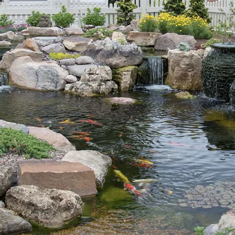 Water Feature Builders In St Louis Metro Area Clarity Ponds