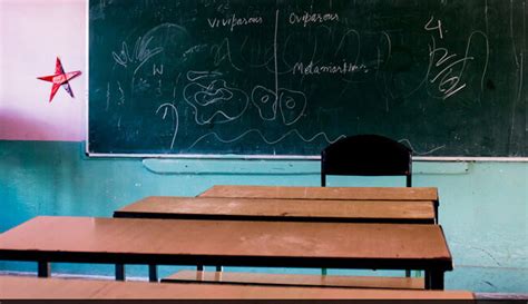 UP Teacher Caught Watching Porn Slams Year Old Boy S Head Against Wall Daily Expert News