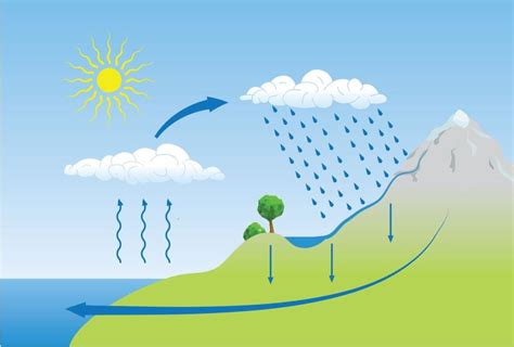 Imagenes De Los Ciclos Biogeoquimicos Xili