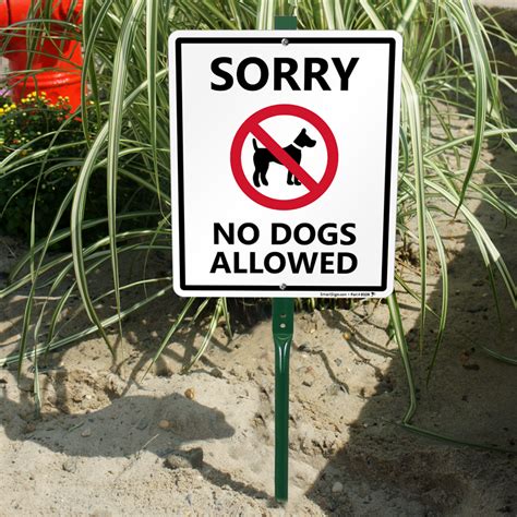 Sorry No Dogs Allowed Sign & Stake Kit for Yard, SKU: K-7346