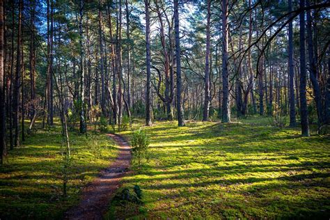 Kampinoski Park Narodowy Atrakcje Informacje I Ciekawostki