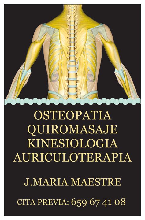 Osteopat A Quiromasaje Kinesiolog A Y Auriculoterapia Con Jos Mar A