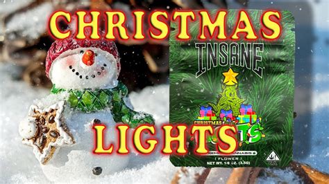 Insane Christmas Lights From Dr Greenthumb Youtube