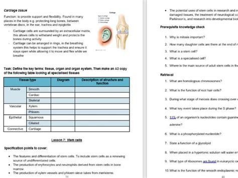 OCR A Level Biology Module 2 Cell Division Diversity And