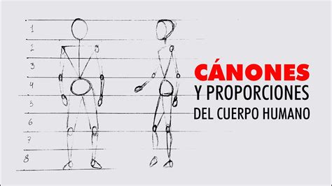 Cánones Y Proporciones Del Cuerpo Humano Youtube