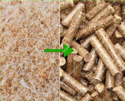 Sawdust Wood Pellet Making Process|Pellet Plant