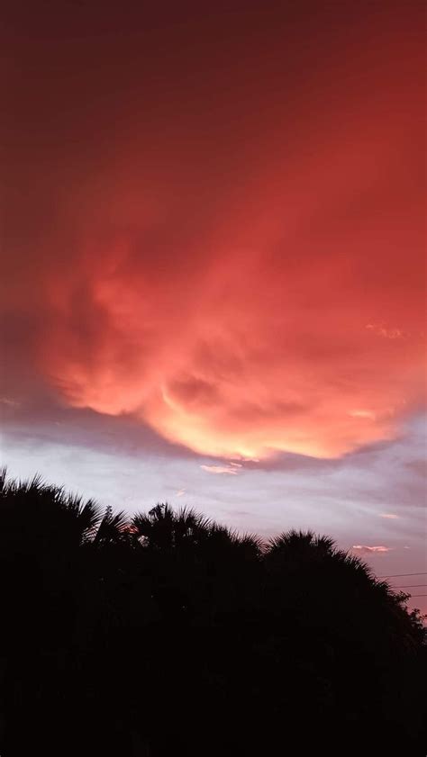 The Sky Is Red And Pink As It Sets In The Distance With Palm Trees On