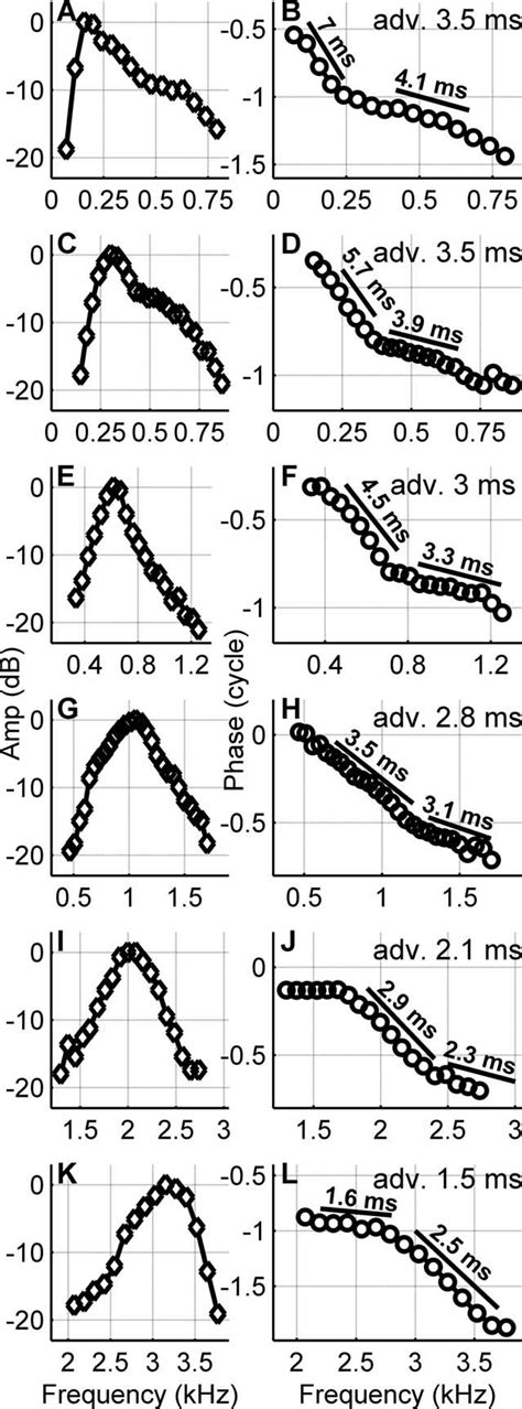 Amplitude Curves Left Column And Phase Curves Right Column Measured