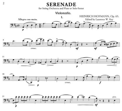 Serenade In D Major Op For Flute And String Ensemble Scorevivo