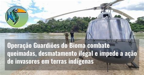 Opera O Guardi Es Do Bioma Combate Queimadas Desmatamento Ilegal E