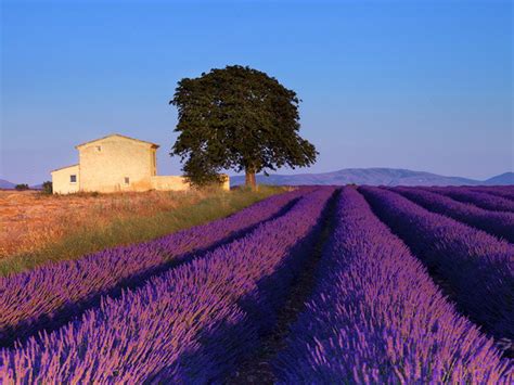 France Landscape Wallpapers - 4k, HD France Landscape Backgrounds on ...