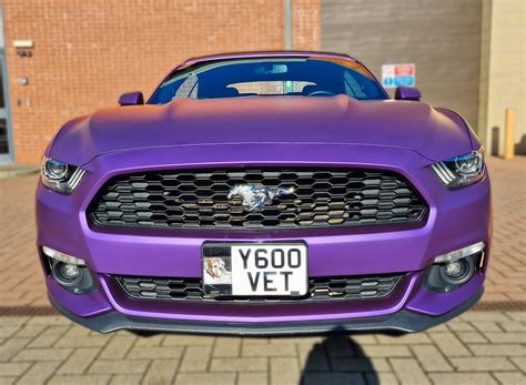 Easipetcare Mustang Wrap Hardy Signs Ltd