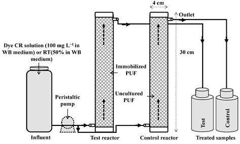 Ijerph Free Full Text Mineralization And Detoxification Of The