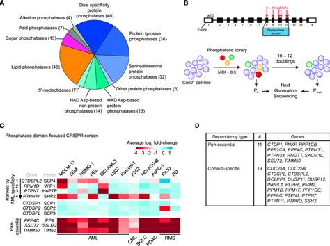 Phosphatase Domain Focused Crispr Screening Identifies Context Specific