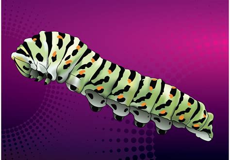 Caterpillar Vector - Download Free Vector Art, Stock Graphics & Images